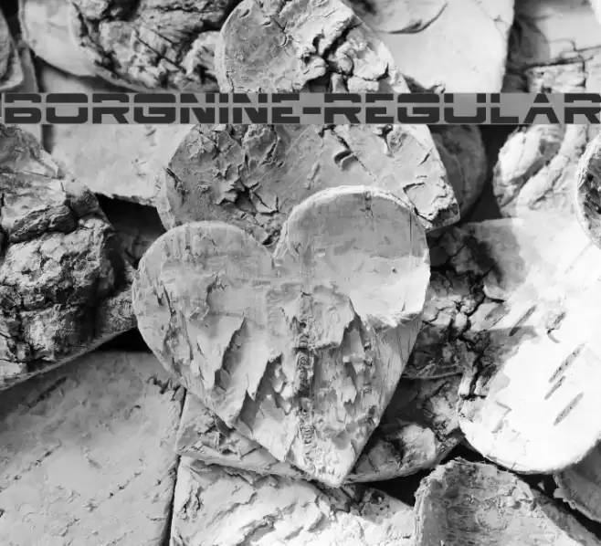 BorgNine-Regular Font examples