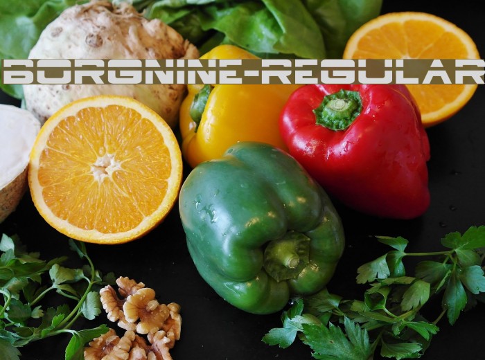 BorgNine-Regular Example 3