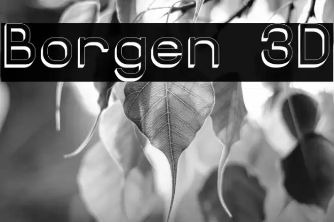 Borgen 3D Font examples