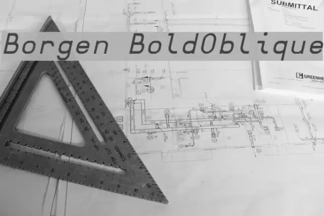 Borgen BoldOblique Шрифта examples