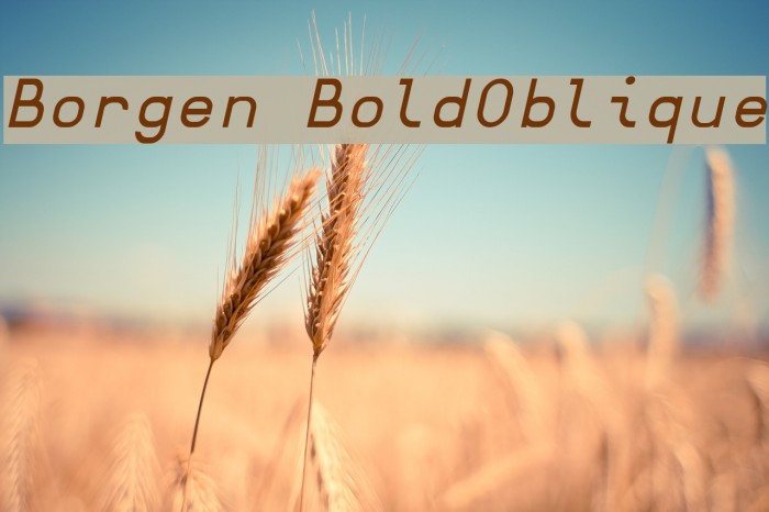 Borgen BoldOblique Font examples