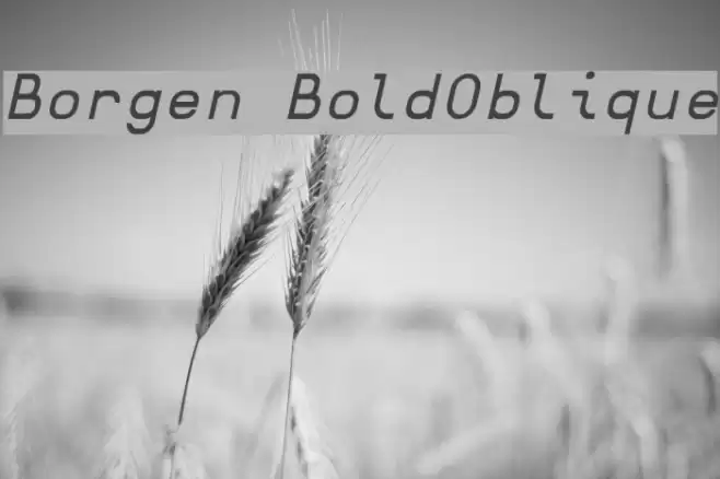 Borgen BoldOblique Шрифта examples
