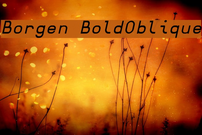 Borgen BoldOblique Font examples