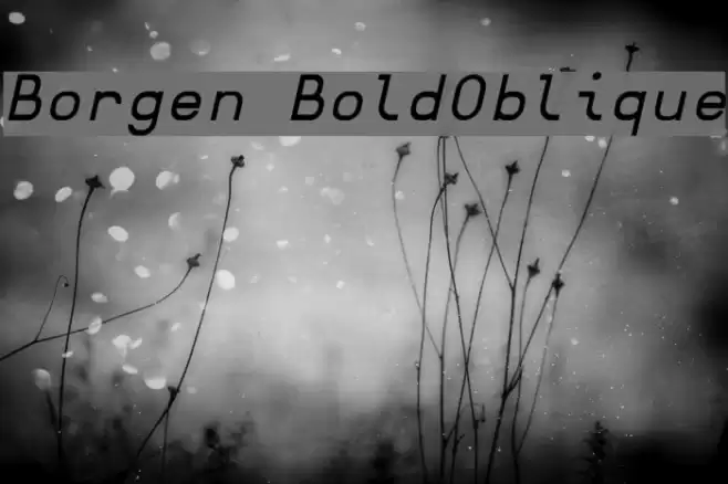 Borgen BoldOblique Шрифта examples