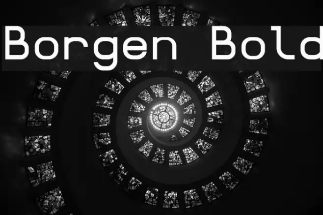 Borgen Bold Шрифта examples