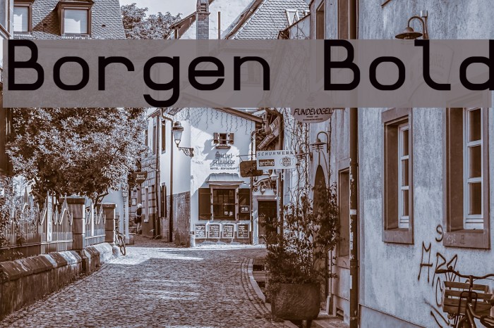 Borgen Bold Font examples