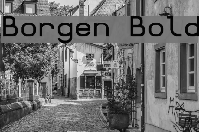 Borgen Bold Шрифта examples