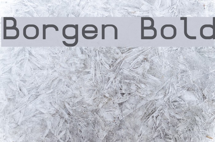 Borgen Bold Font examples