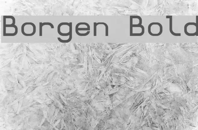 Borgen Bold Шрифта examples