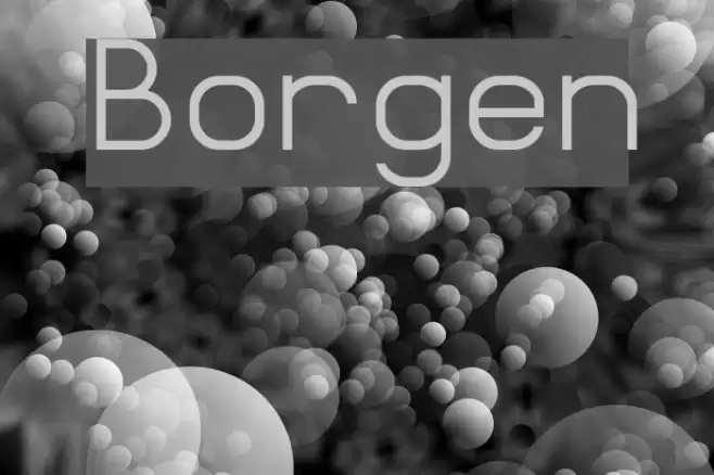 Borgen Font examples