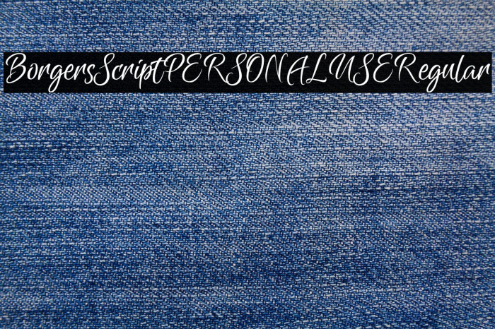 Borgers Script PERSONAL USE Regular Example 2