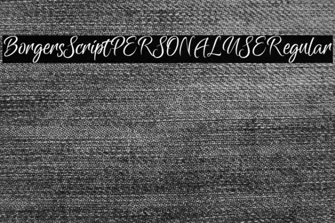 Borgers Script PERSONAL USE Regular Example 2