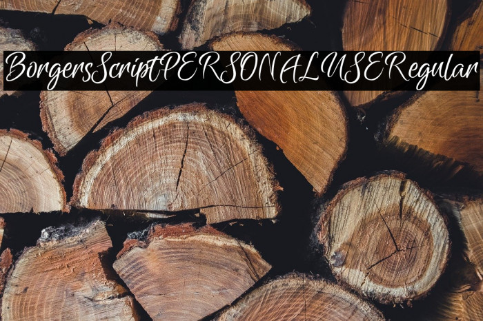 Borgers Script PERSONAL USE Regular Example 3