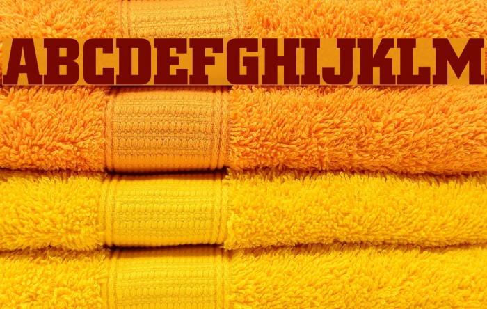 Borghs Normal Font examples