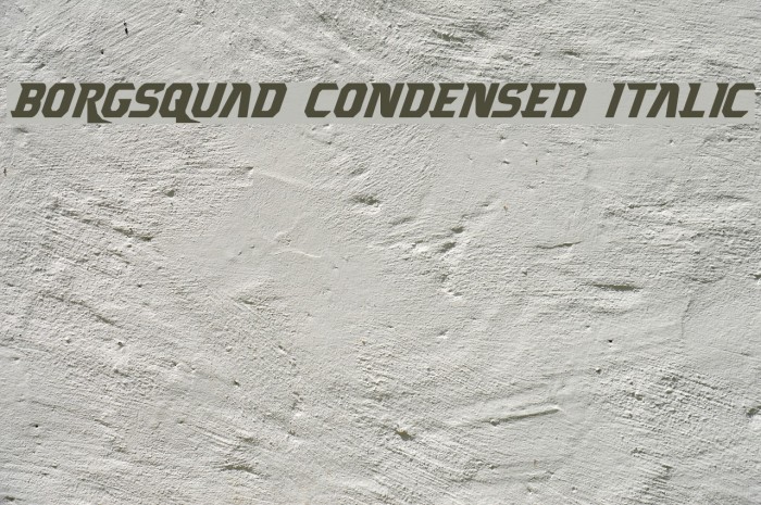 Borgsquad Condensed Italic Font examples