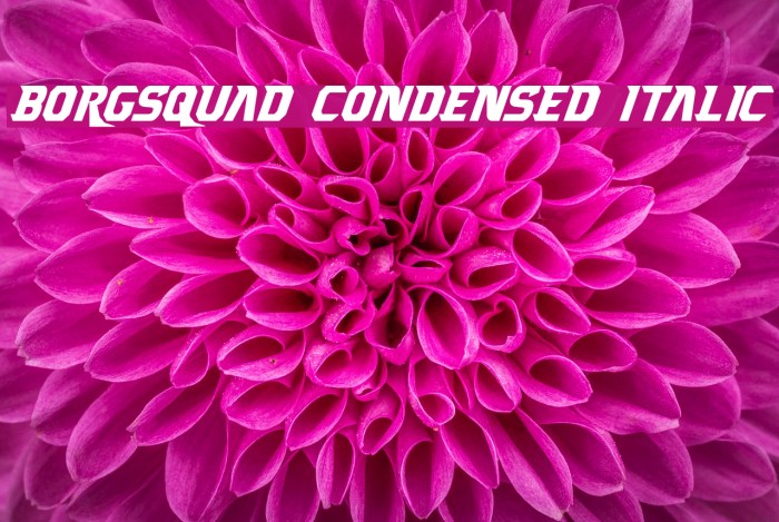 Borgsquad Condensed Italic Font examples
