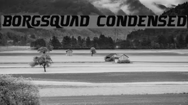 Borgsquad Condensed Font examples