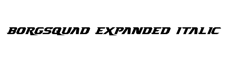 Borgsquad Expanded Italic Font