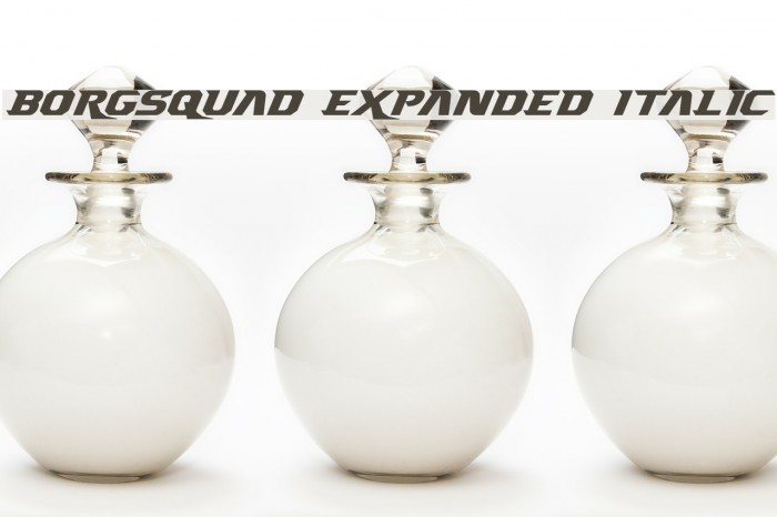 Borgsquad Expanded Italic Font examples
