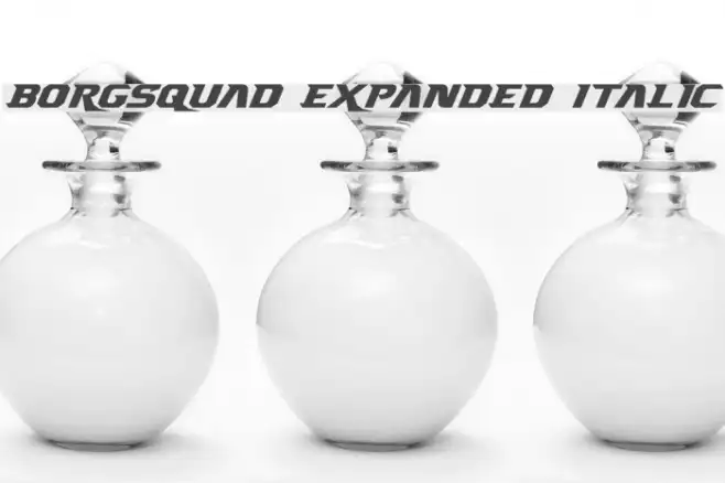 Borgsquad Expanded Italic Example 2