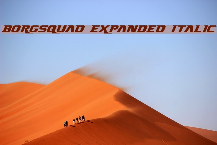 Borgsquad Expanded Italic Font examples