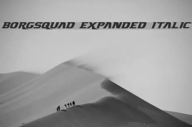 Borgsquad Expanded Italic Example 3