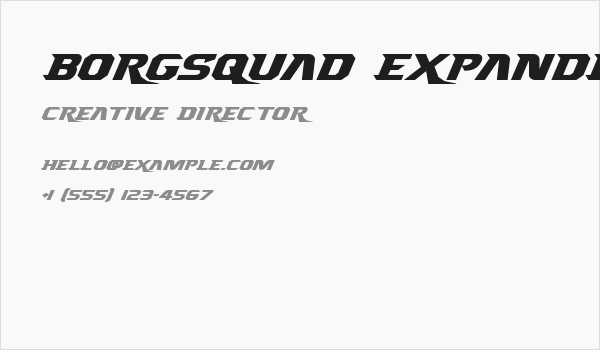Borgsquad Expanded Italic Business Card