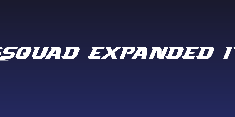 Borgsquad Expanded Italic Social Header