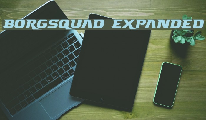 Borgsquad Expanded Font examples