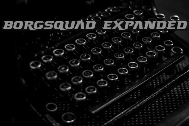 Borgsquad Expanded Example 3