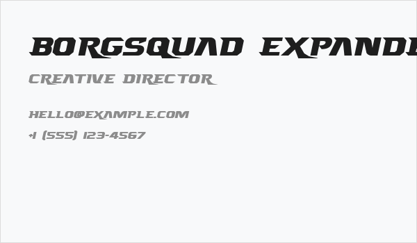 Borgsquad Expanded Business Card