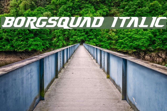 Borgsquad Italic Example 1