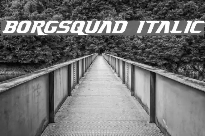 Borgsquad Italic Font examples
