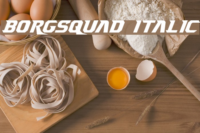 Borgsquad Italic Example 2