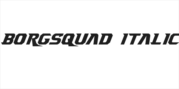 Borgsquad Italic Logo