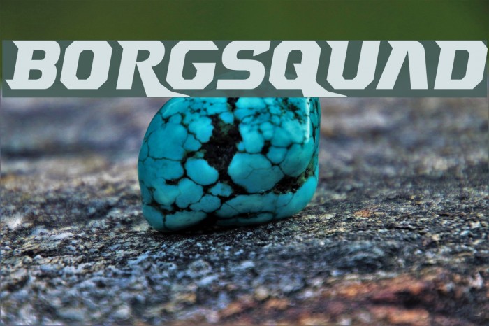 Borgsquad Font examples
