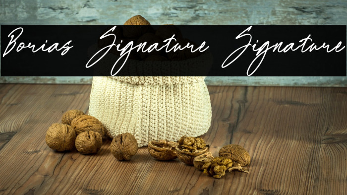 Borias Signature Signature Example 1