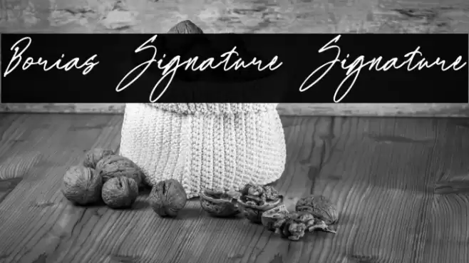 Borias Signature Signature Fuentes examples
