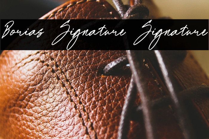 Borias Signature Signature Example 2