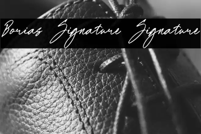 Borias Signature Signature Fuentes examples