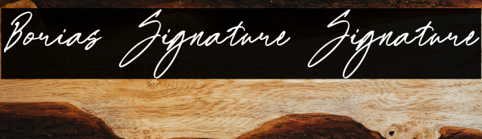 Borias Signature Signature Example 3