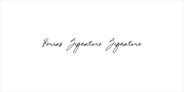 Borias Signature Signature Logo