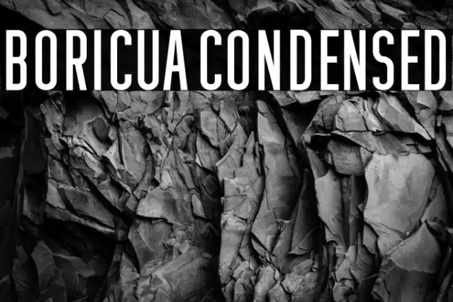 Boricua Condensed Example 1