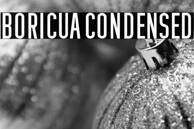 Boricua Condensed Example 2