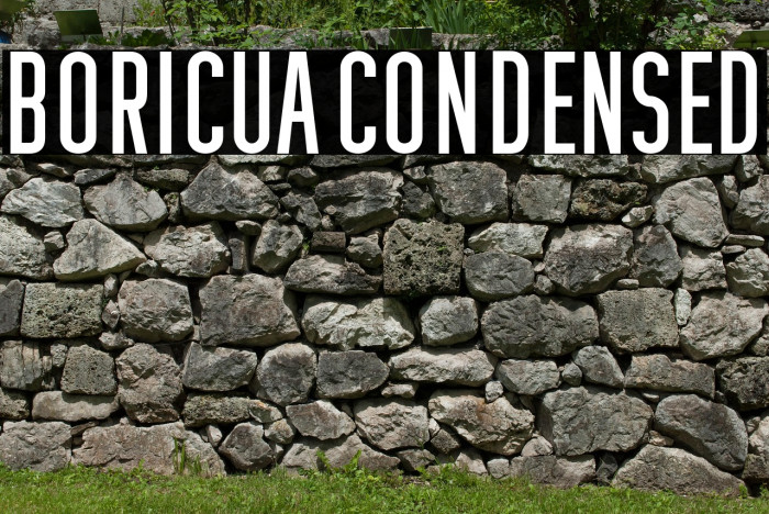 Boricua Condensed Example 3