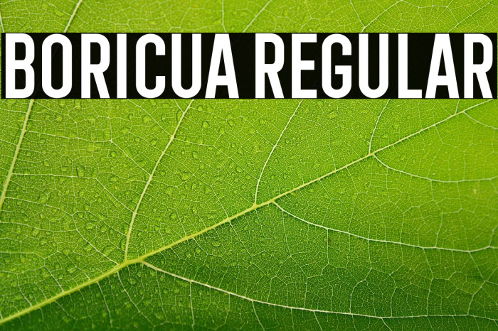 Boricua Regular Example 2