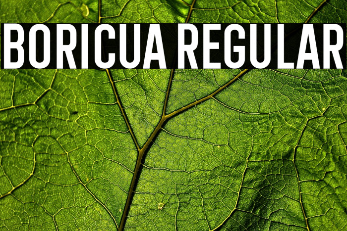 Boricua Regular Example 3