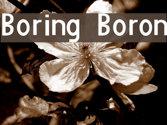 Boring Boron Font examples