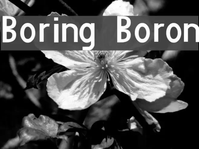 Boring Boron Fonte examples