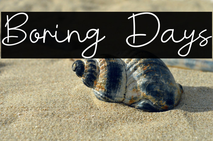 Boring Days Example 2